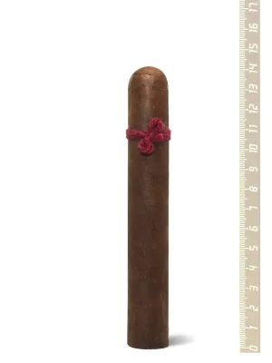 Nicarao Furia Megaera Toro