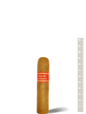 Partagas Serie D № 6