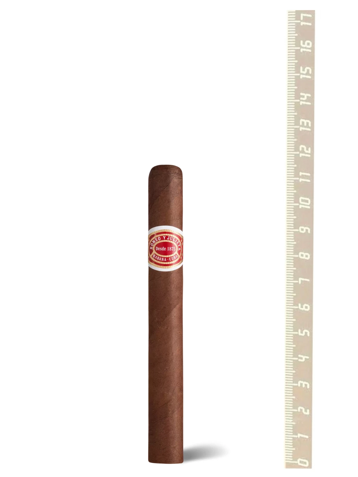 El Rey del Mundo Choix Supreme
